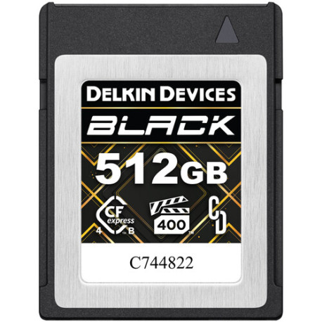 Memory card Delkin Devices 