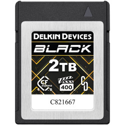карта памет Delkin Devices Black CFexpress 4.0 Type B 2TB карта памет Delkin Devices Black CFexpress 4.0 Type B 2TB