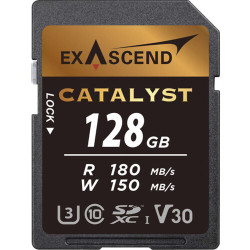 Exascend SD Catalyst V30 128GB