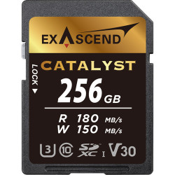 Memory card Exascend SD Catalyst V30 256GB