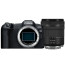  Canon EOS R8 + Lens Canon RF 24-105mm f/4-7.1 IS STM + Lens Canon RF 50mm f/1.8 STM
