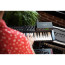 audio interface MOTU M4