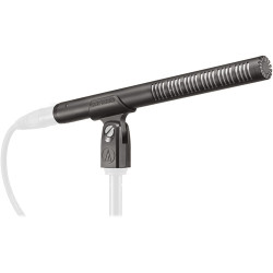 Microphone Audio-Technica BP4073 Microphone