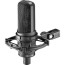 микрофон Audio-Technica AT4050 Microphone